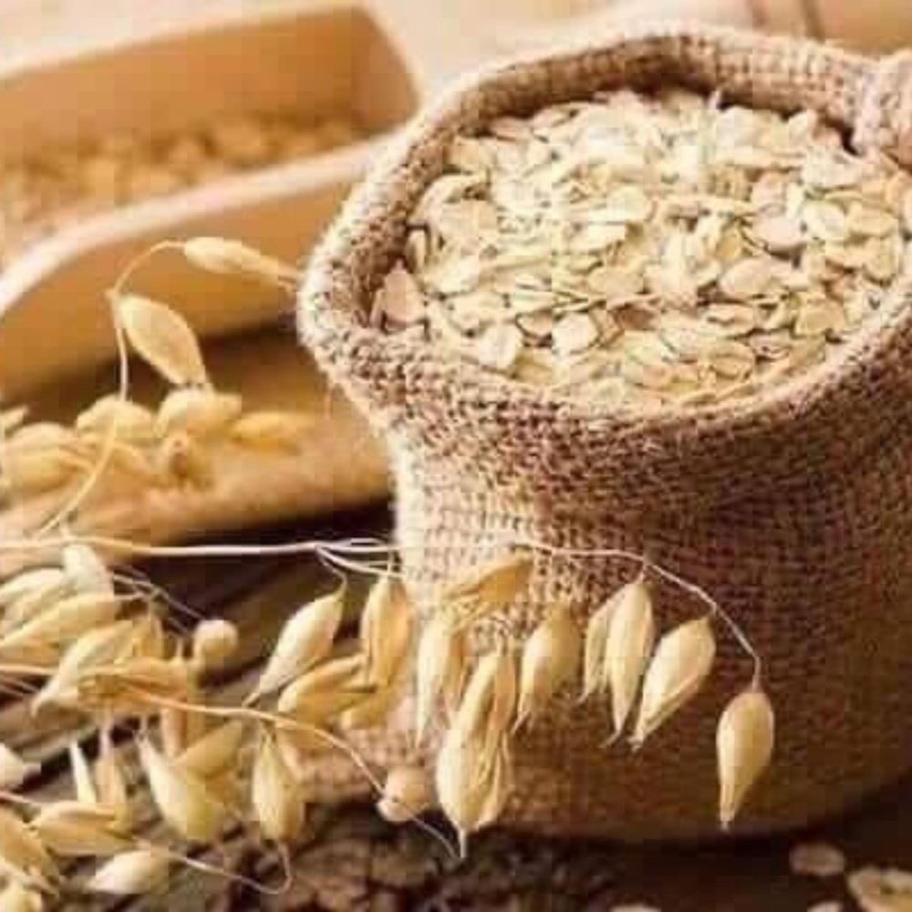 Yến mạch Đức tươi